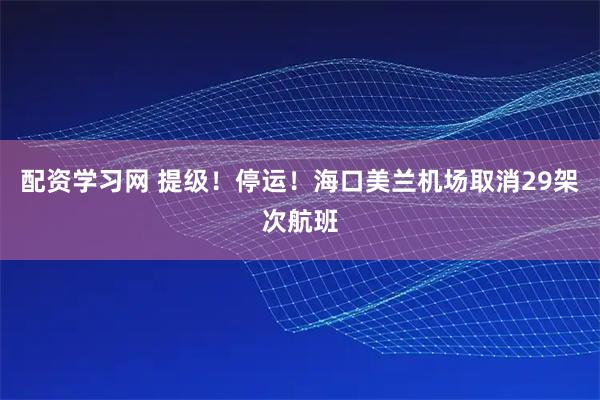 配资学习网 提级！停运！海口美兰机场取消29架次航班